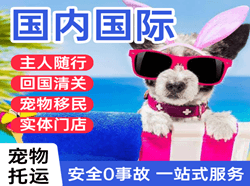 柳州机场物流国际宠物托运 【国